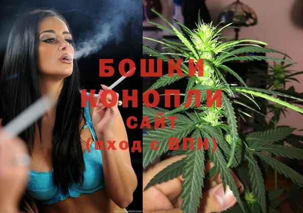 крисы Арсеньев
