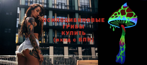крисы Арсеньев