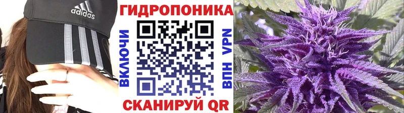 Канабис White Widow  сайты даркнета формула  Пугачёв 